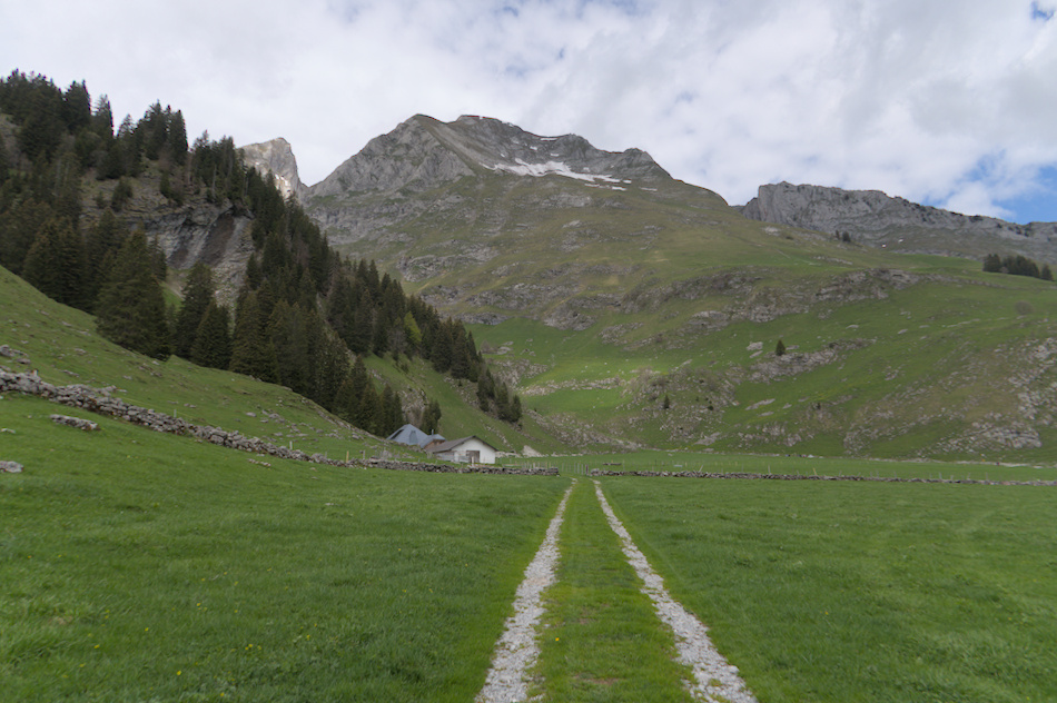 'Sur la Dent de Brenleire'