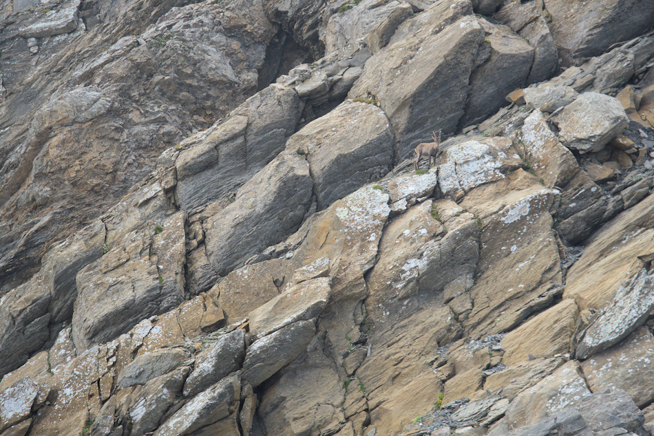 'Pas de doute, il est plus � l\'aise que nous'