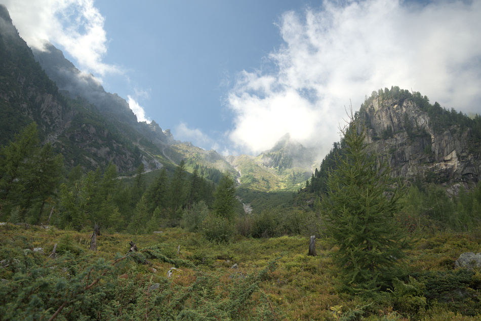 'Souvenir de belles descentes en snow'